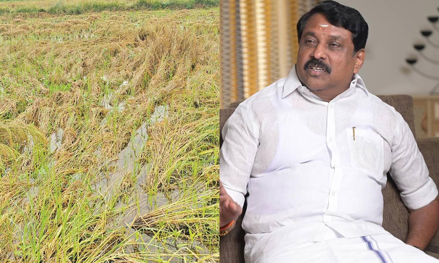 பாதிப்புக்குள்ளான நெற்பயிர்களுக்கு ஏக்கர் ரூ.50,000 வீதம் நிவாரணம் வழங்குக- நயினார் நாகேந்திரன்1
