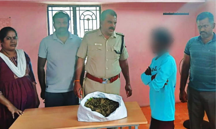 கோவில்பட்டியில் 2 கிலோ கஞ்சாவுடன் வாலிபர் கைது; பைக் பறிமுதல்1
