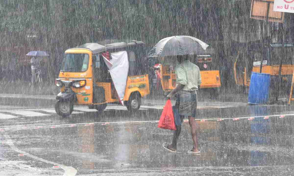 பிற்பகல் 1 மணி வரை மழைக்கு வாய்ப்புள்ள மாவட்டங்கள்...