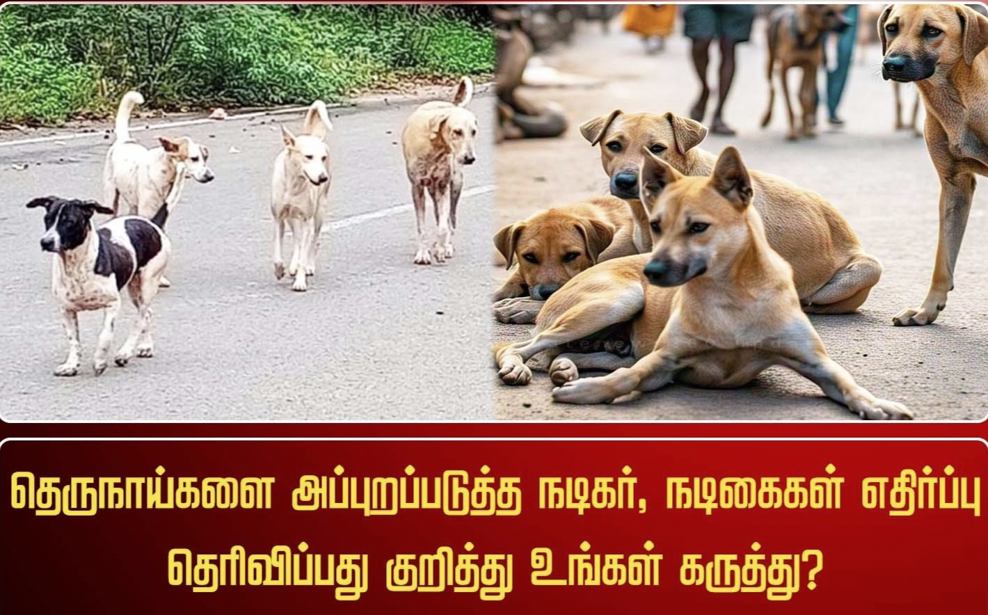 தெருநாய்களை அப்புறப்படுத்த நடிகர், நடிகைகள் எதிர்ப்பு தெரிவிப்பது குறித்து உங்கள் கருத்து?